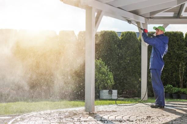 Solar Panel Cleaning